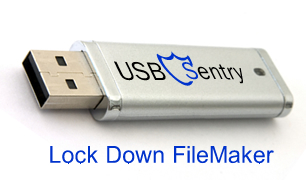 FileMaker protection software